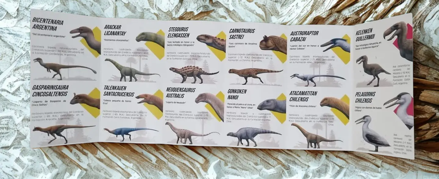 Guía Desplegable “Dinosaurios: Tesoros Ocultos de Chile y Argentina” 2