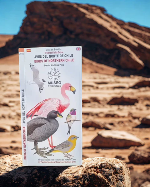 Guía de Bolsillo "Aves del Norte de Chile" — Daniel Martínez