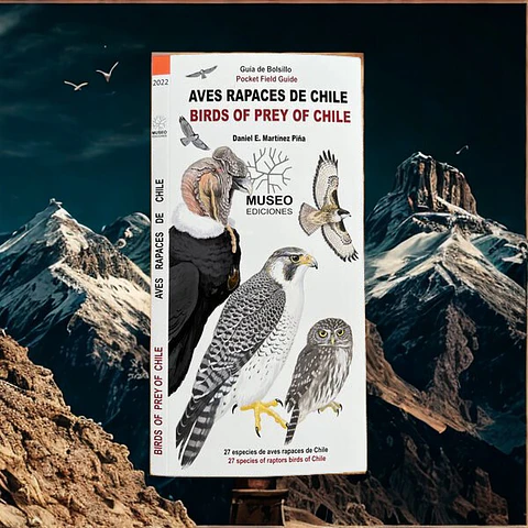 Aves Rapaces de Chile - Daniel Martínez