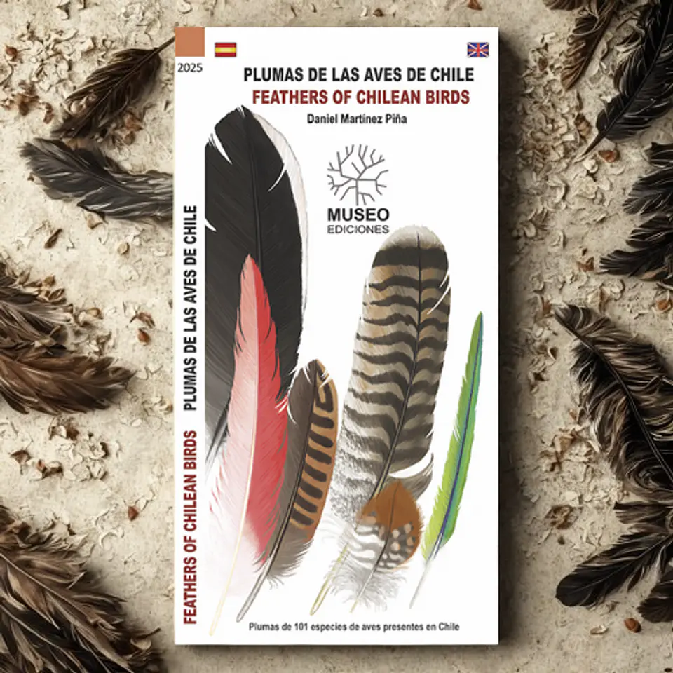 Plumas de Las Aves de Chile - Daniel Martínez 1