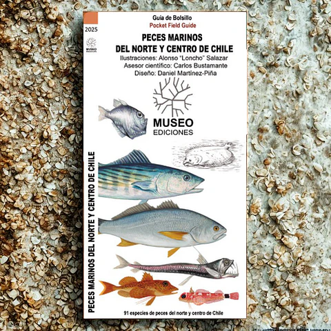 Peces Marinos del Norte y Centro de Chile