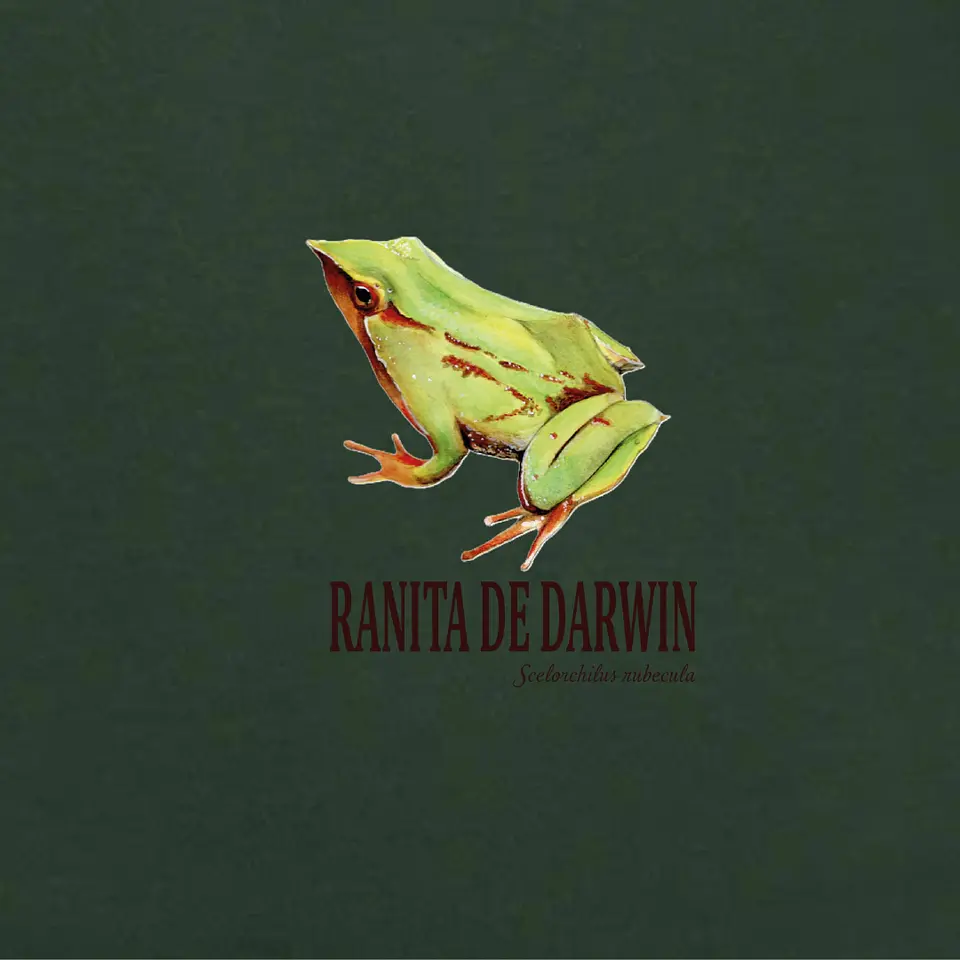 Polera Orgánica Fauna Chilena (Edición Limitada) 3