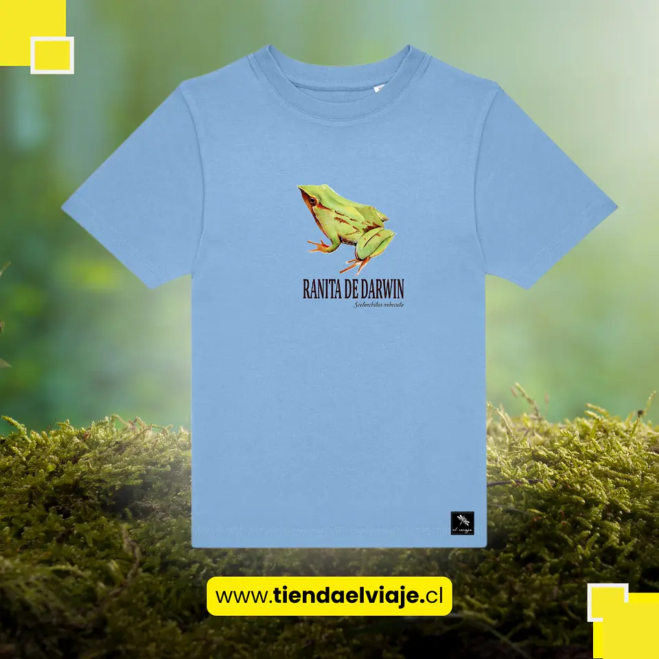 Polera Infantil Unisex – Fauna Nativa (Talla 5/6) 3