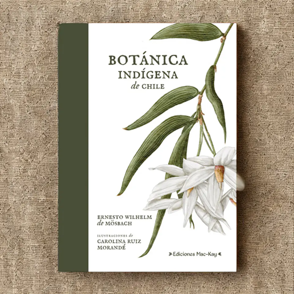 Botánica Indígena de Chile – Ernesto Wilhelm de Mösbach 1