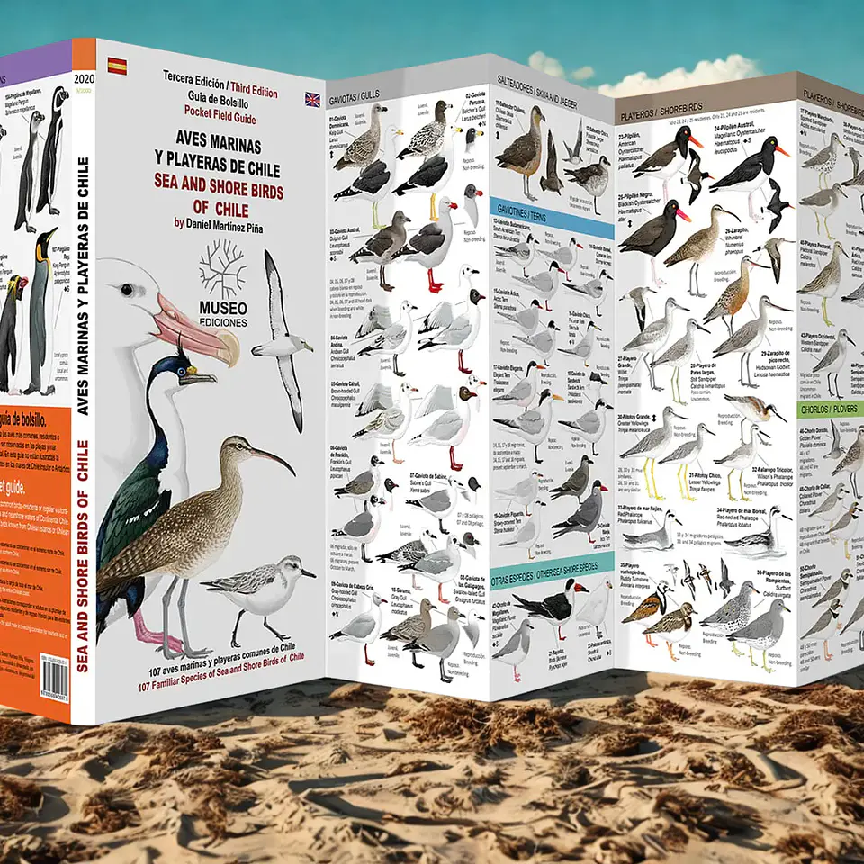 Aves Marinas y Playeras e Chile – Sea and Shore Birds Of Chile - Daniel Martínez 1