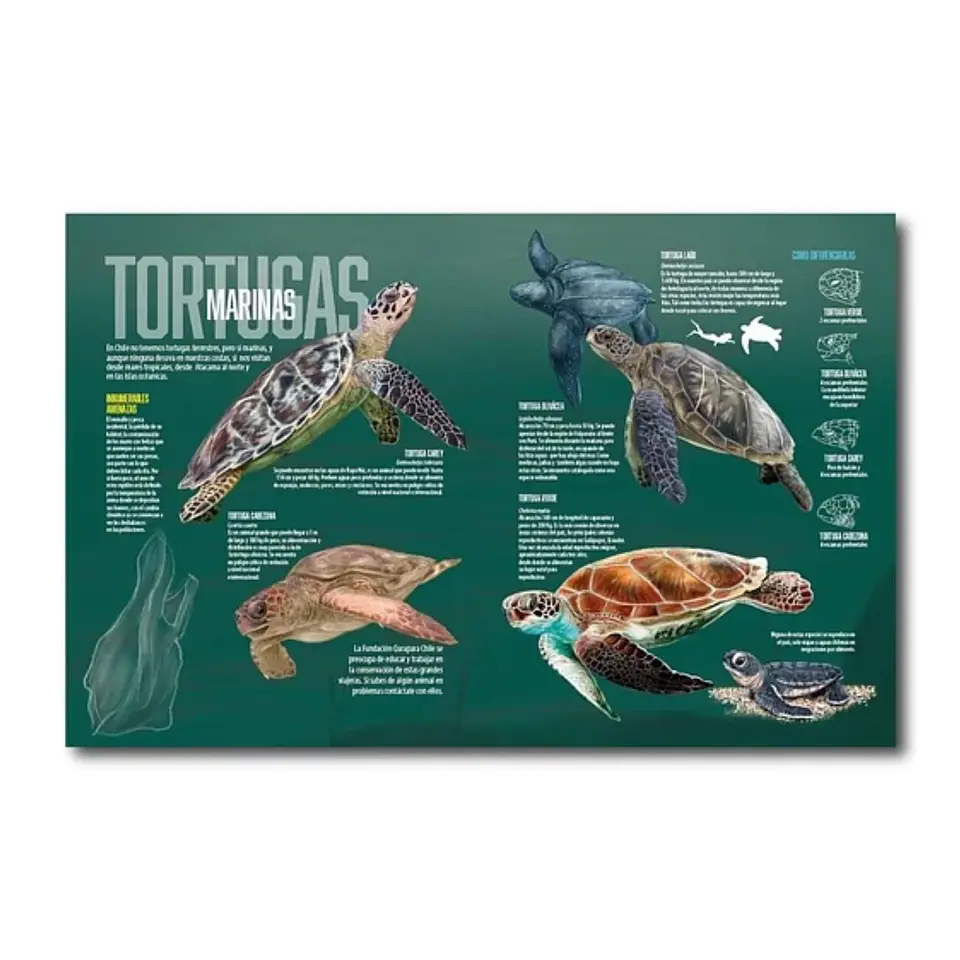 ¡Descubre la Majestuosidad de la Fauna Chilena en 