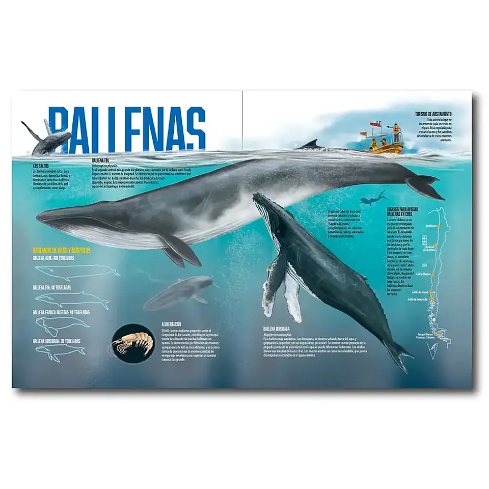 ¡Descubre la Majestuosidad de la Fauna Chilena en 