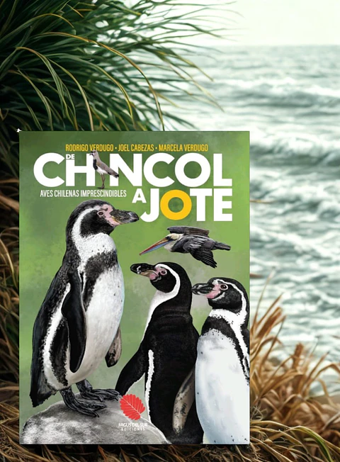 De Chincol a Jote - Aves Chilenas Imprescindibles - Rodrigo Verdugo, Joel Cabezas y Marcela Verdugo