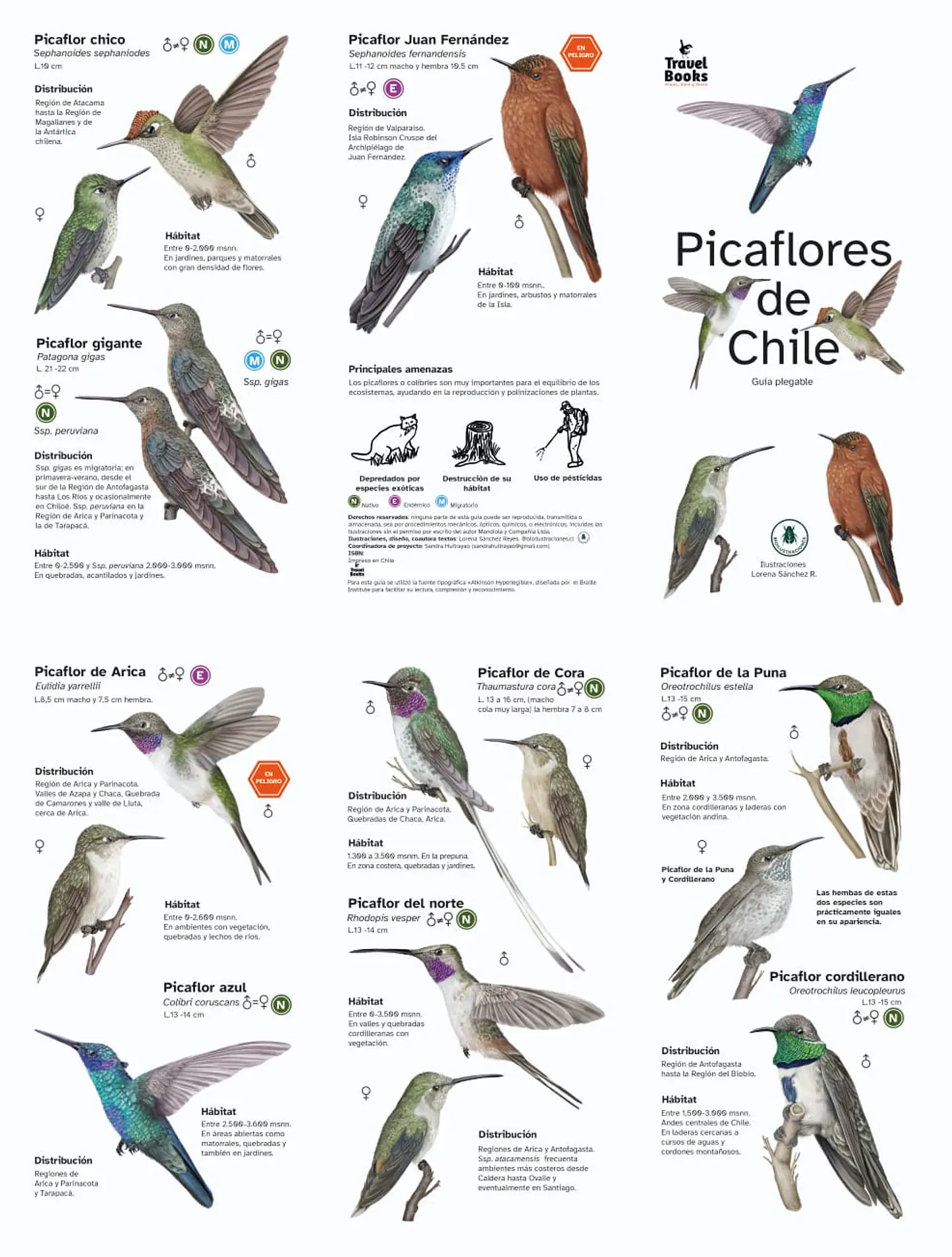 Picaflores de Chile - Travel Books 4