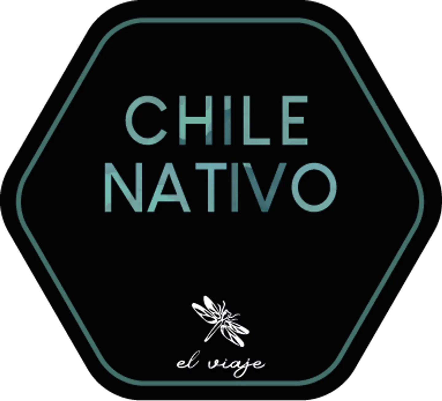 Juego Memorice Chile Nativo – 40 piezas con especies nativas de la biodiversidad chilena 7