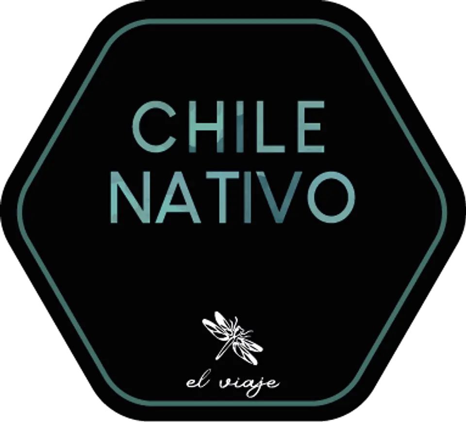 Juego Memorice Chile Nativo – 40 piezas con especies nativas de la biodiversidad chilena 7