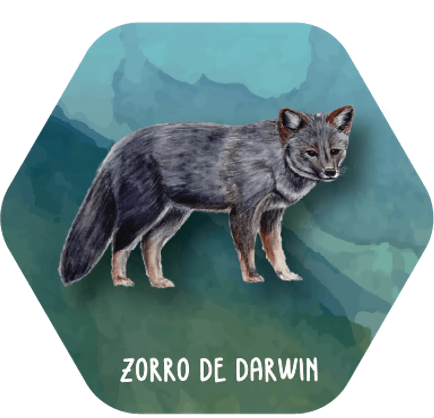 Juego Memorice Chile Nativo – 40 piezas con especies nativas de la biodiversidad chilena 5