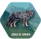 Juego Memorice Chile Nativo – 40 piezas con especies nativas de la biodiversidad chilena - thumbnail 5