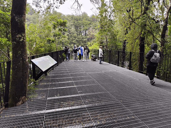 Interpretación del patrimonio: una disciplina holística al servicio de experiencias memorables