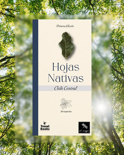 Hojas Nativas de Chile Central - Juan Carlos Castaing