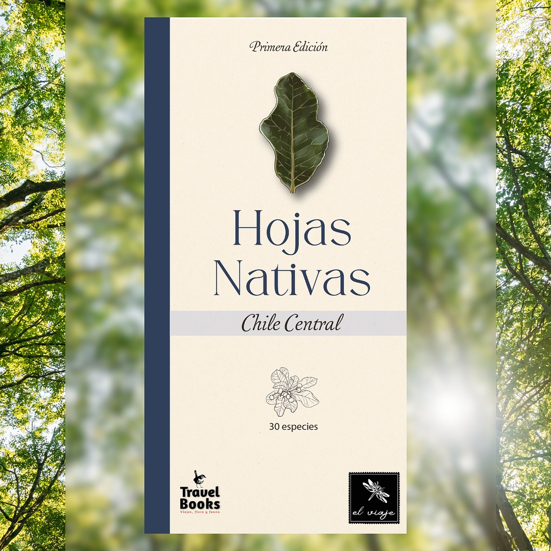 Hojas Nativas de Chile Central - Juan Carlos Castaing 1