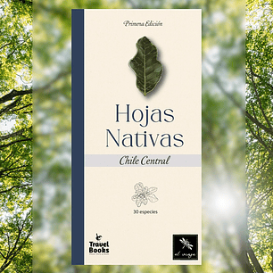 Hojas Nativas de Chile Central - Juan Carlos Castaing