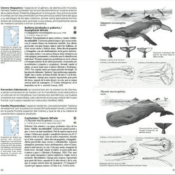 Mamíferos de Chile, Guia de Campo completa de Daniel Martinez-Piña 4