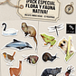 Pack stickers 2 sets de Fauna Nativa - Miniatura 1