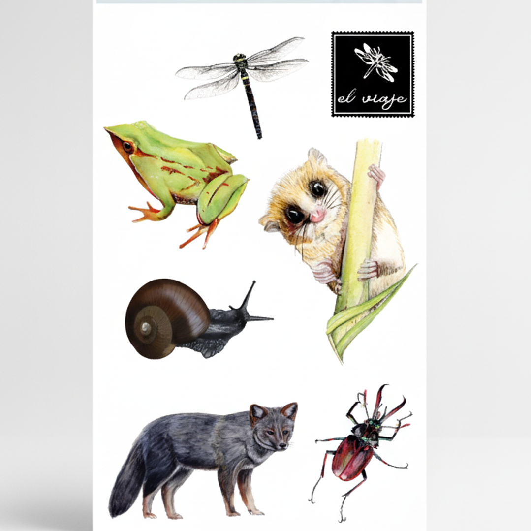 Pack stickers 2 sets de Fauna Nativa 2