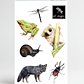 Pack stickers 2 sets de Fauna Nativa - Miniatura 2