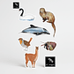 Pack stickers 2 sets de Fauna Nativa - Miniatura 3