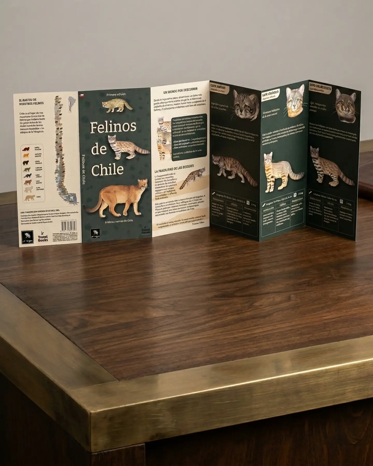 Felinos de Chile - El Viaje Ediciones 2