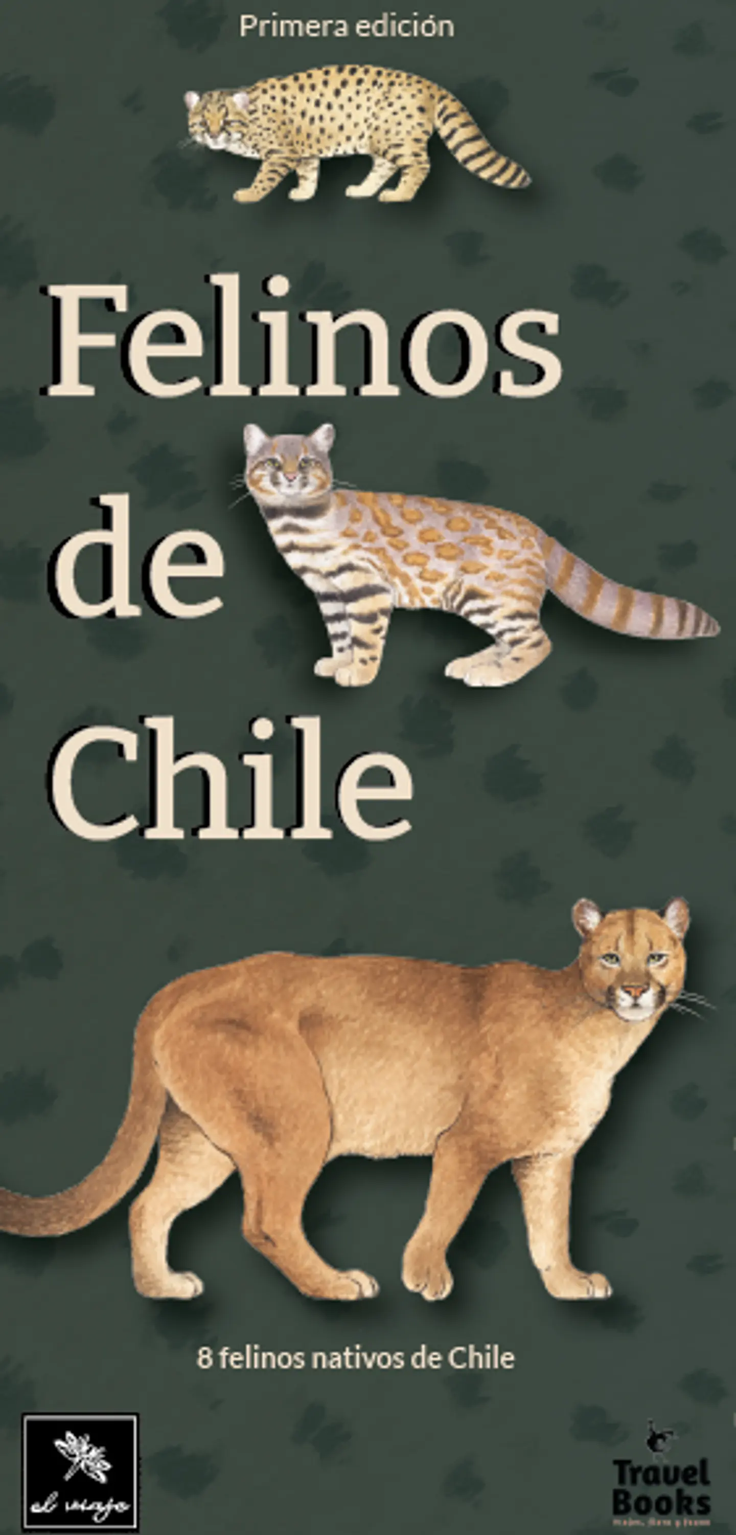 Felinos de Chile - El Viaje Ediciones 4