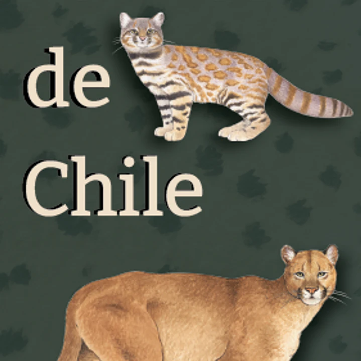 Felinos de Chile 4