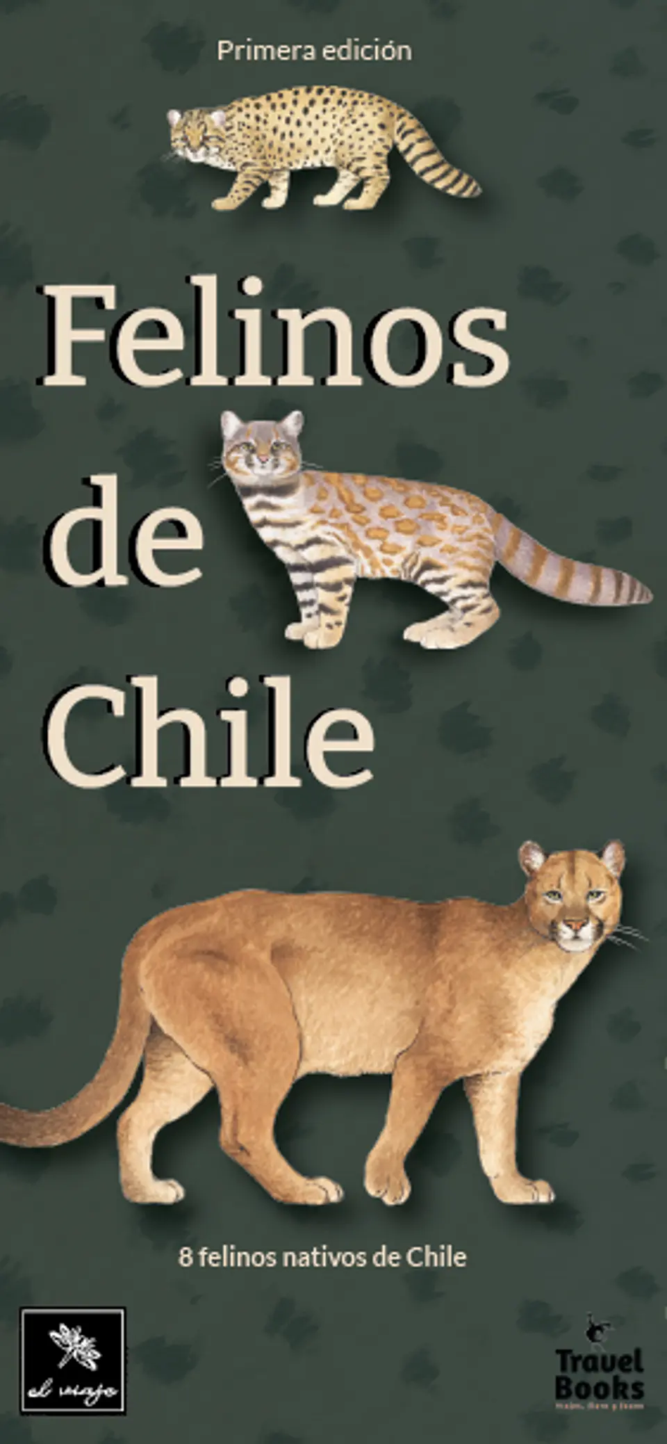 Felinos de Chile - El Viaje Ediciones 4
