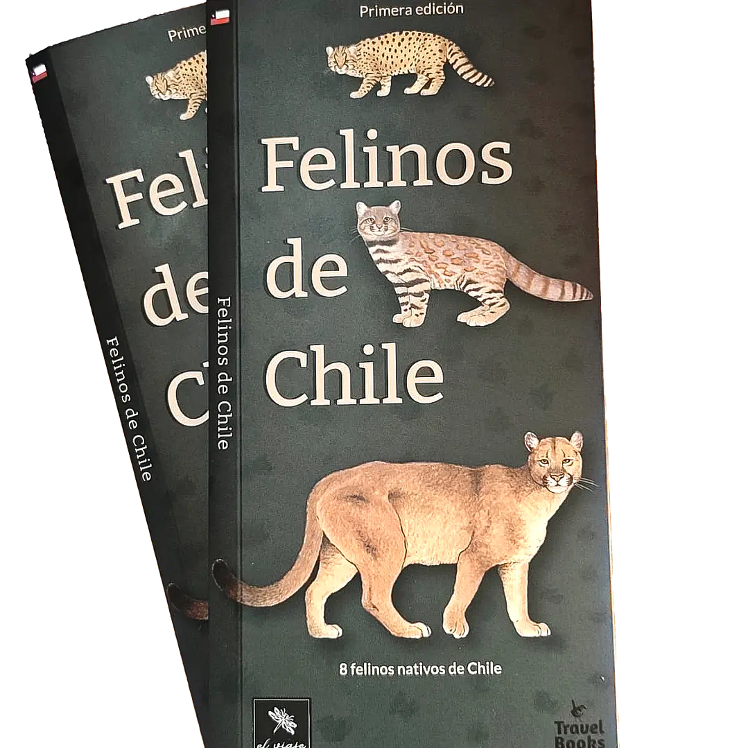 Felinos de Chile 5