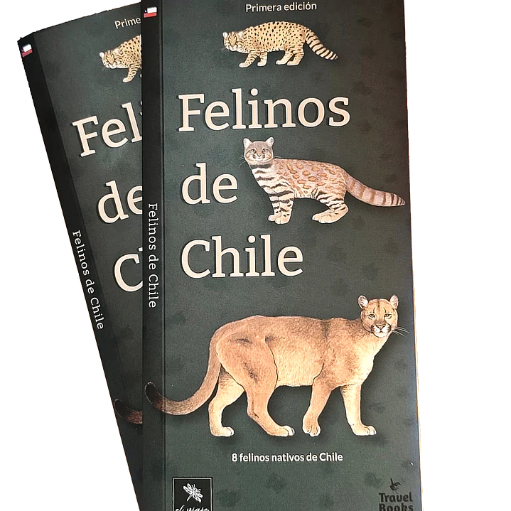 Felinos de Chile 5