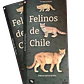 Felinos de Chile - thumbnail 5