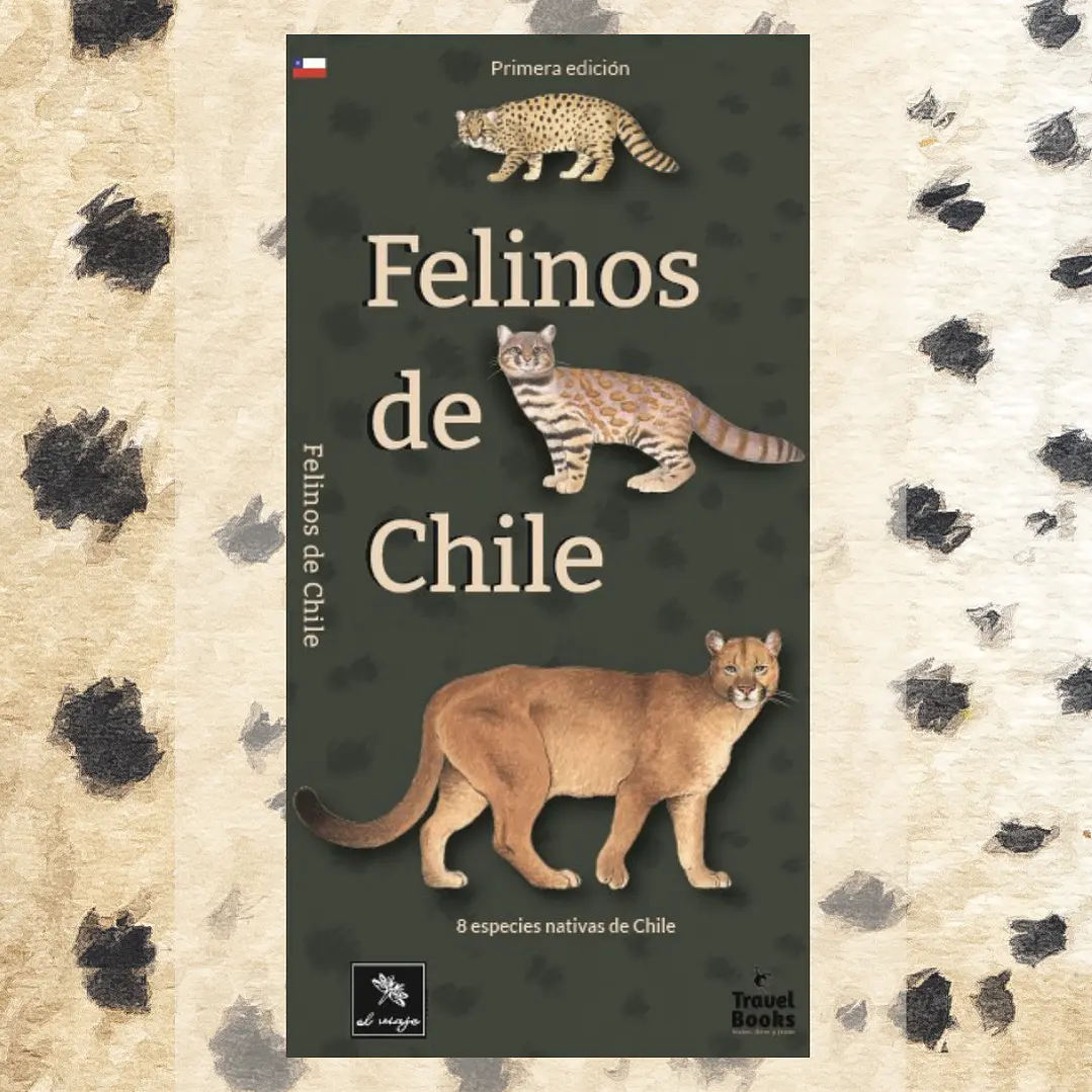 Felinos de Chile 1