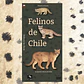 Felinos de Chile - thumbnail 1