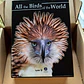 All the Birds of the World - Miniatura 3