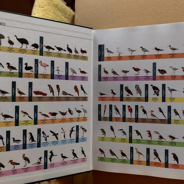 All the Birds of the World 4