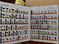 All the Birds of the World - Lynx Ediciones - Miniatura 4