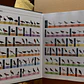 All the Birds of the World - Miniatura 4