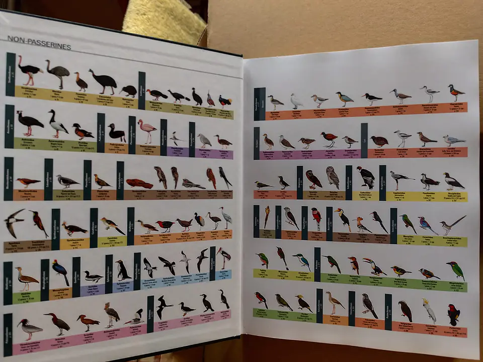 All the Birds of the World - Lynx Ediciones 4
