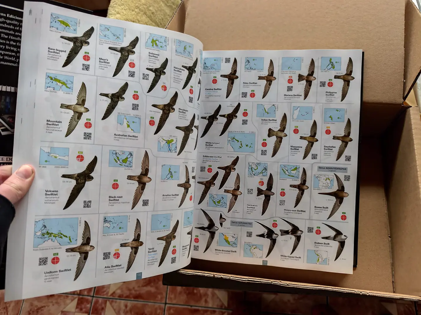 All the Birds of the World - Lynx Ediciones 5