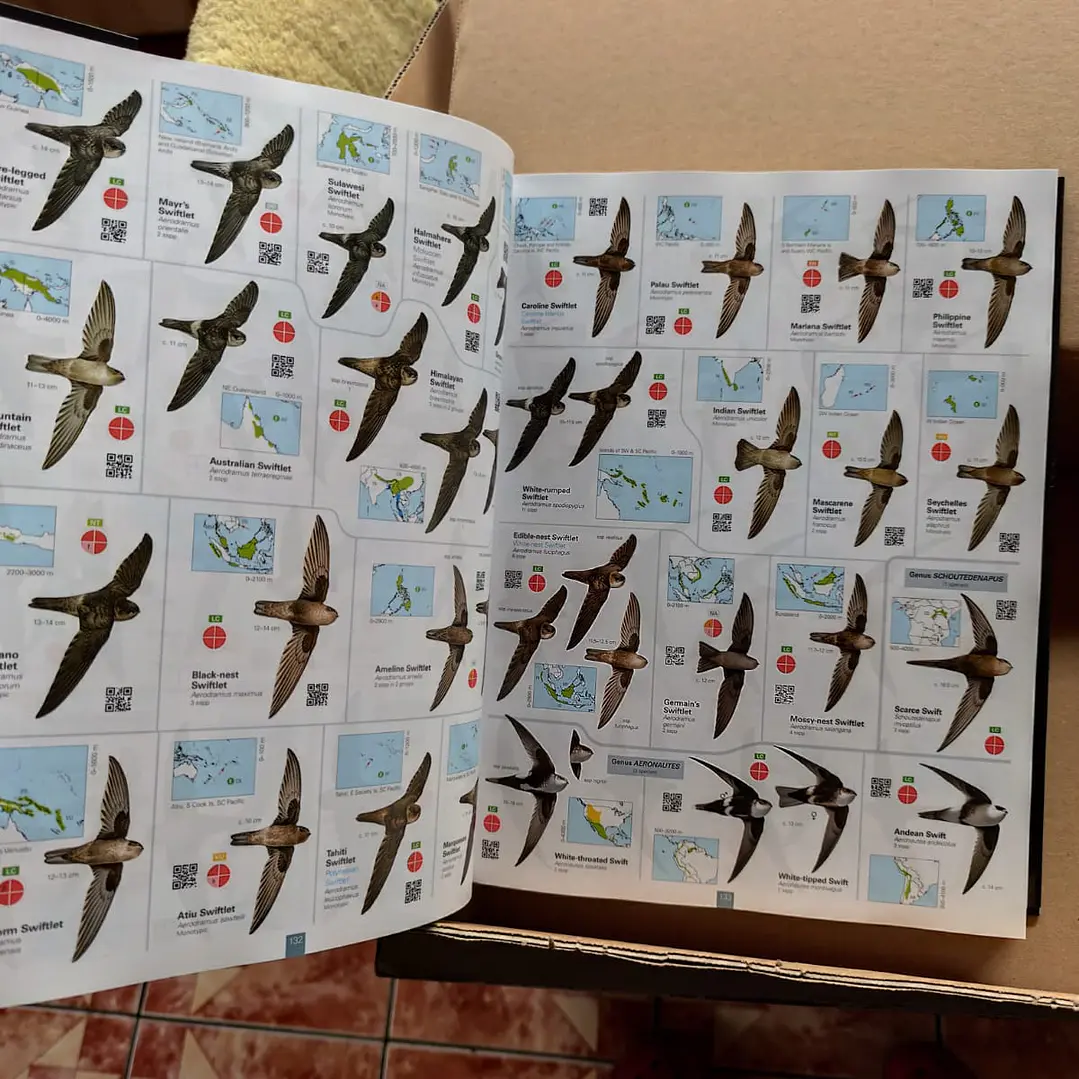 All the Birds of the World 6