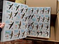 All the Birds of the World - Lynx Ediciones - Miniatura 6