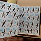 All the Birds of the World - Miniatura 6