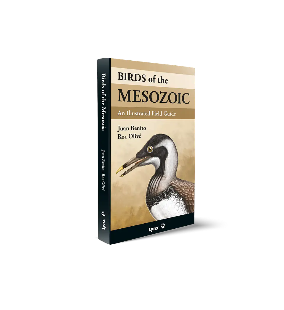 Birds of the Mesozoic An Illustrated Field Guide - Lynx ediciones 1