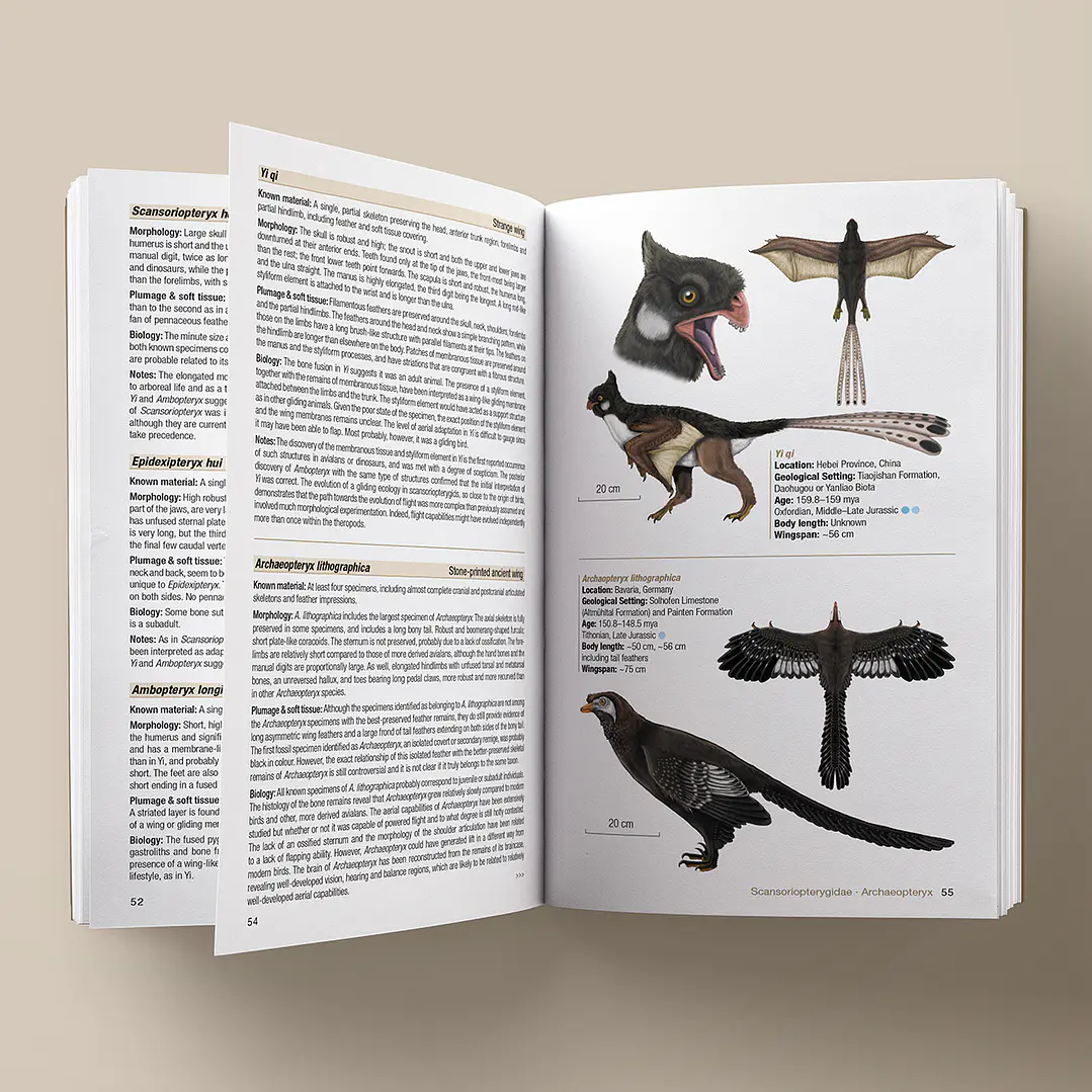 Birds of the Mesozoic An Illustrated Field Guide - Lynx ediciones 2