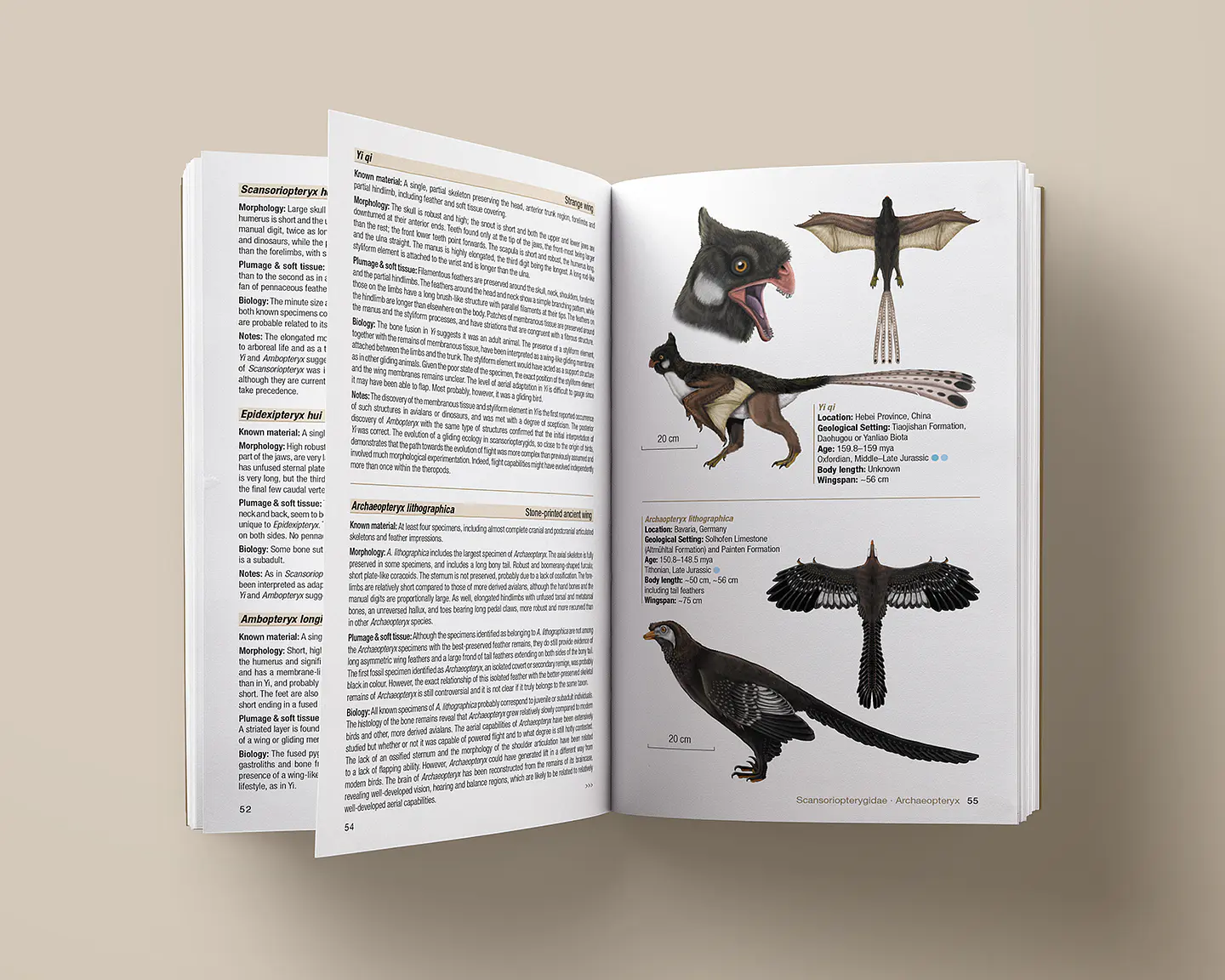 Birds of the Mesozoic An Illustrated Field Guide - Lynx ediciones 2