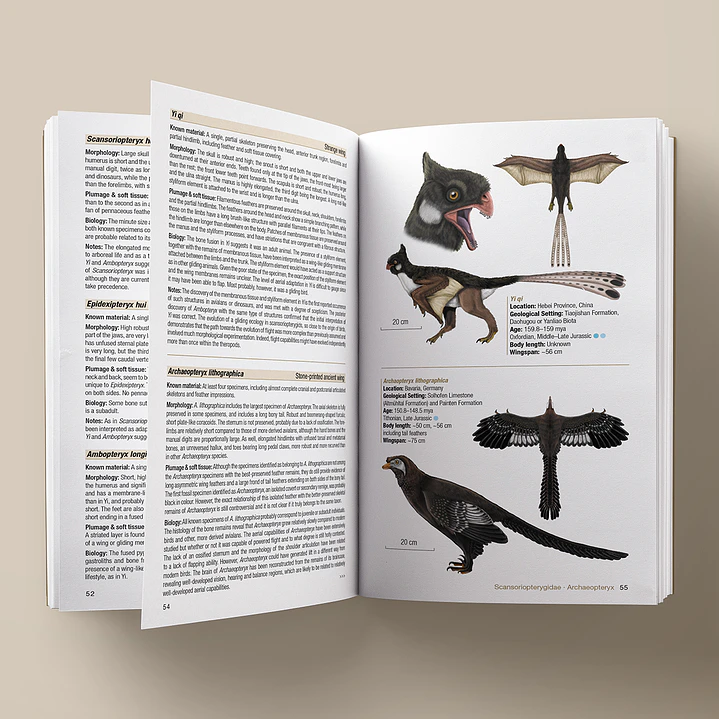Birds of the Mesozoic An Illustrated Field Guide - Lynx ediciones 2