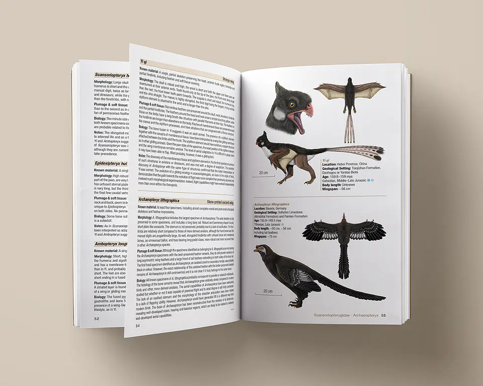 Birds of the Mesozoic An Illustrated Field Guide - Lynx ediciones 2