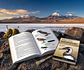 Birds of the Mesozoic An Illustrated Field Guide - Lynx ediciones - Miniatura 5